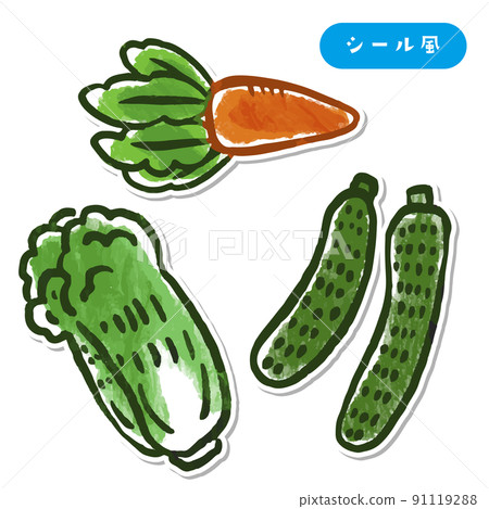 Vegetable illustration carrot cucumber Chinese cabbage sticker style 91119288