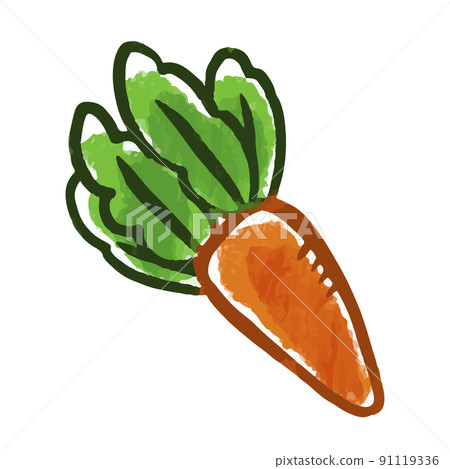 Vegetable illustration carrot 91119336