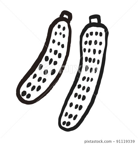Vegetable Illustration Cucumber 91119339