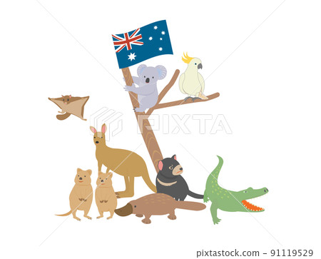 Cute Australian animals 91119529
