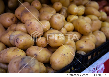 Potatoes in plastic box 91120384