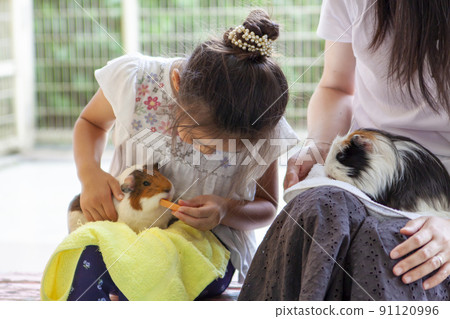 Sagamihara Asamizo Park Fureai Zoo 91120996