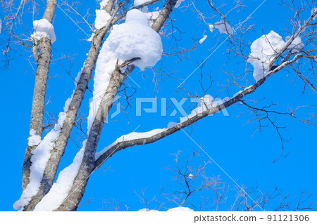 冬天在北海道 91121306