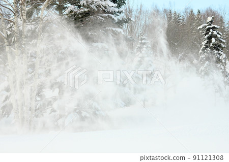 Winter in Hokkaido 91121308