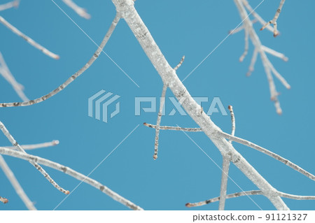 Winter in Hokkaido 91121327