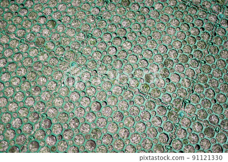 Protection / Curing / Net / Lawn / Ground / Up 91121330