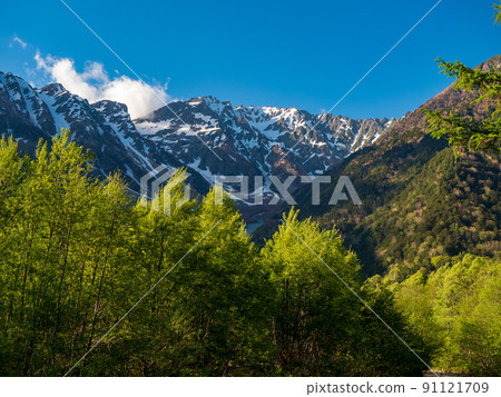 Kamikochi: Hotaka mountain range with residual snow shining in the setting sun and fresh green salix arbutifolia 91121709