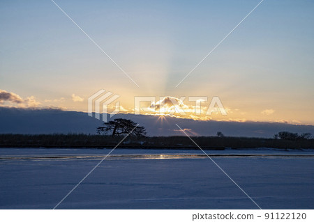 孤獨的松樹 91122120