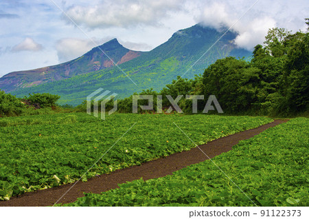 擁有兩座山峰的北海道駒岳 擁有兩座山峰的北海道駒岳 91122373