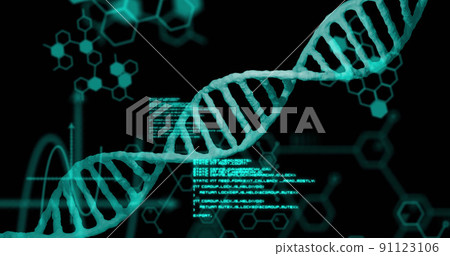 Image of dna strand and data processing on black background Image of dna strand and data processing on black background 91123106