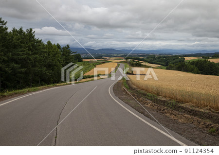 美麗的路 91124354