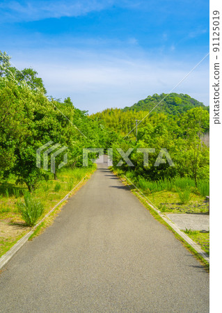 綠色繼續的道路 Shimanami Umashima 91125019