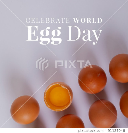 Digital composite image of brown eggs and celebrate world egg day text over white background 91125046