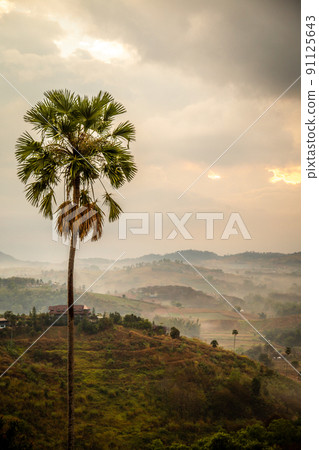 Wat Kong Niam Viewpoint over the valley in Phetchabun, Thailand Wat Kong Niam Viewpoint over the valley in Phetchabun, Thailand 91125643