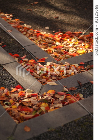 Light that hits the fallen leaves that have accumulated in the corners of the stairs 91125668