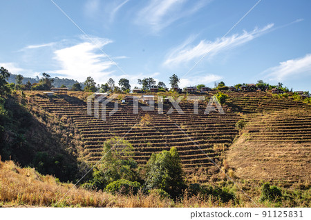 Ban Pa Pong Piang Rice terraces or Baan Pa Pong Pieng in Doi Inthanon national park, Chiang Mai 91125831