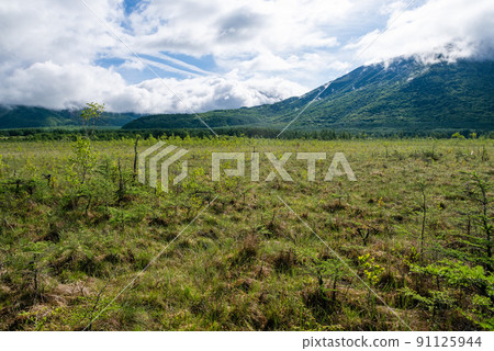 Oku Nikko Senjogahara Oku Nikko Senjogahara 91125944