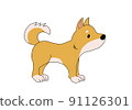 Shiba Inu 91126301