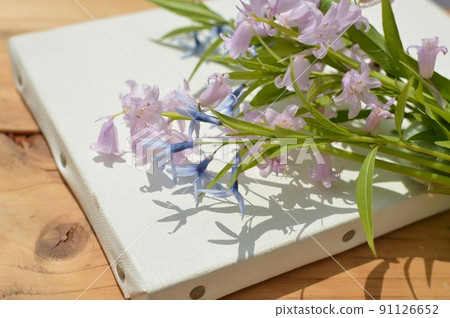 淡色席勒和 amsonia elliptica 花束和帆布 91126652