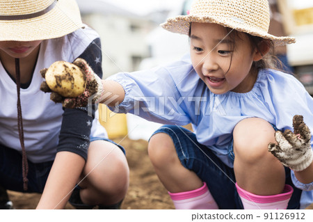 孩子們在挖土豆 91126912