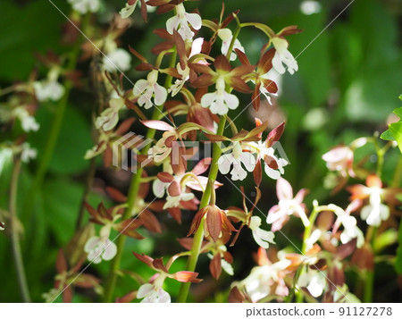 Ebene Ebene 91127278