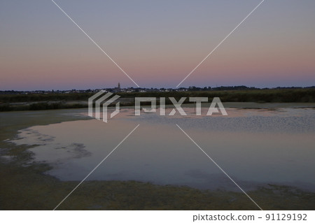 早晨陽光下的蓋朗德鹽田（法國） 91129192