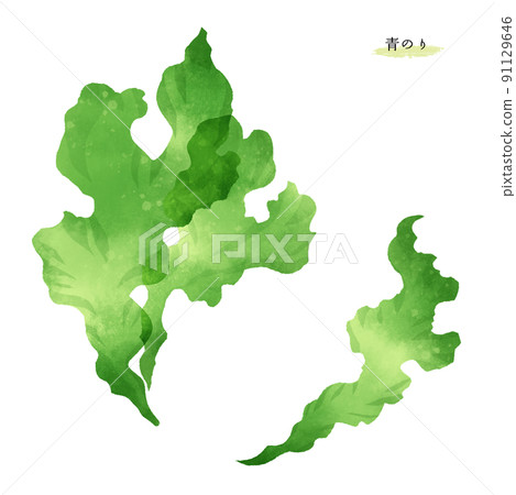Hand-drawn illustration of green laver 91129646