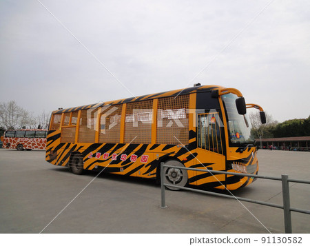 Shanghai Wild Animal Safari Bus Shanghai Wild Animal Safari Bus 91130582
