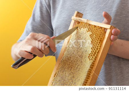 The beekeeper holds a frames of honeycombs. Fresh honey. Natural organic bee product. Healthy lifestyle. Close-up photo. The beekeeper holds a frames of honeycombs. Fresh honey. Natural organic bee product. Healthy lifestyle. Close-up photo. 91131114