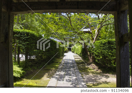 長野縣安樂寺山門別所溫泉上田市的景色 91134096