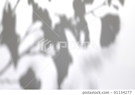 shadows of tree leaves branches on a white wall shadows of tree leaves branches on a white wall 91134277