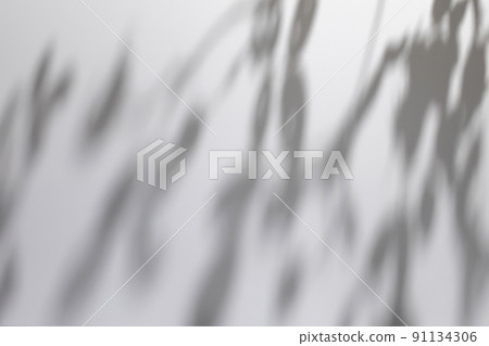 shadows of tree leaves branches on a white wall 91134306