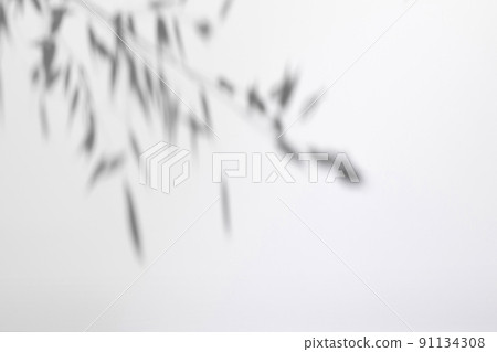 Gray shadows of garden flowers and grass Gray shadows of garden flowers and grass 91134308