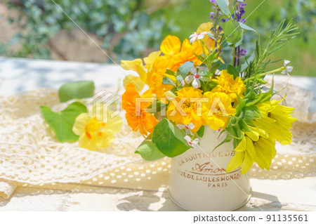 Arrangement of flowers in the garden from summer to autumn 91135561