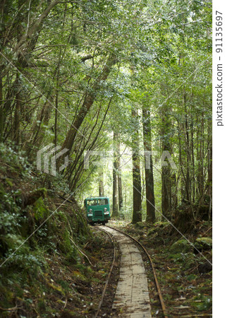 屋久島小車 屋久島小車 91135697