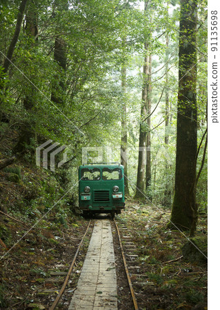 屋久島小車 91135698