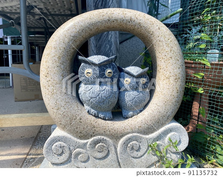 Owl to pick you up at Komyoji Owl to pick you up at Komyoji 91135732