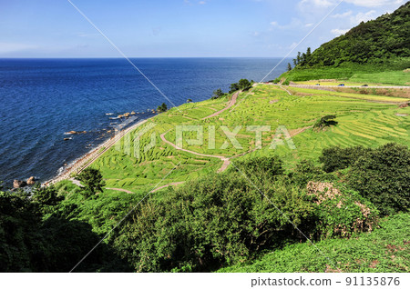 Summer Shiroyone Senmaida(石川縣輪島市) Summer Shiroyone Senmaida(石川縣輪島市) 91135876