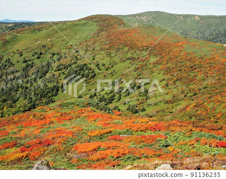 Mitsuishiyama in autumn 91136235