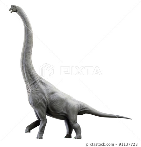 Brachiosaurus Brachiosaurus 91137728