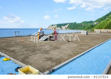 Hires working in the salt pans Hires working in the salt pans 91137814