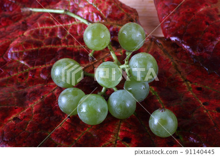 Grape on autumn leaf 91140445