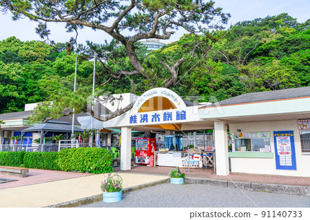 高知縣高知市天氣晴朗的桂濱水族館 91140733
