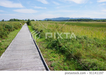 Kimuaneppu Cape, Saroma Town, Hokkaido 91141197