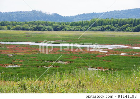 Kimuaneppu Cape, Saroma Town, Hokkaido Kimuaneppu Cape, Saroma Town, Hokkaido 91141198