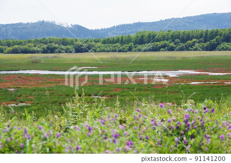 北海道佐呂間町金馬內普岬 北海道佐呂間町金馬內普岬 91141200