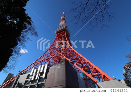 From the east side of Tokyo Tower on a sunny day 91141231