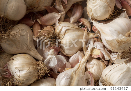 White garlic pile texture. Fresh garlic on market table closeup photo. Vitamin healthy food spices. Spicy culinary ingredient picture. Bunch of white garlic heads. White garlic head pile top view. 91143417