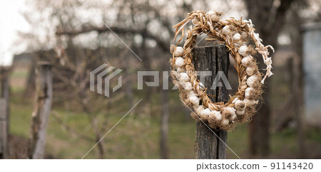 White garlic bunch hanging. Concept White garlic bunch hanging. Concept 91143420