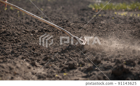 A rural workaholic rakes the ground in his garden A rural workaholic rakes the ground in his garden 91143625